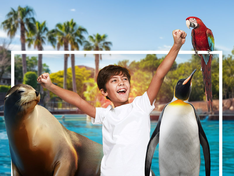 Selwo Marina Benalmádena