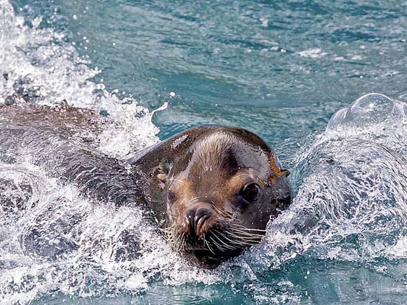 Visita escolar Selwo Marina