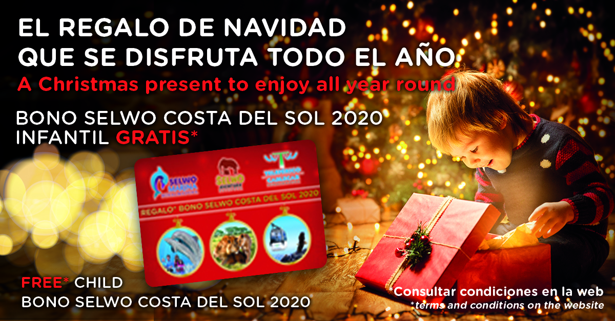 El regalo de Navidad que se disfruta todo el año