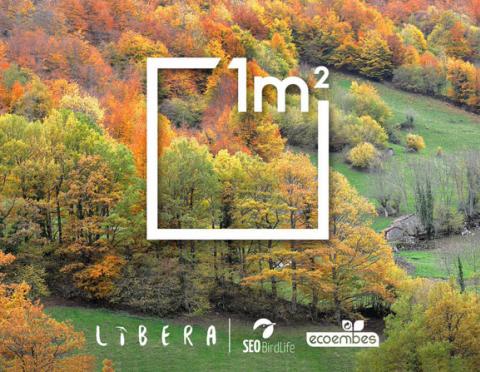 El Proyecto Libera organiza una nueva recogida de basura en montes y bosques en la semana 11 al 17 de diciembre
