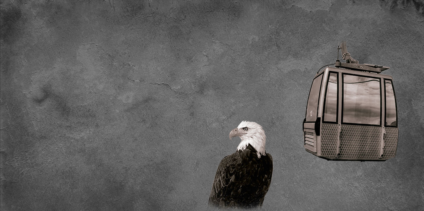 Black Friday en Teleférico Benalmádena